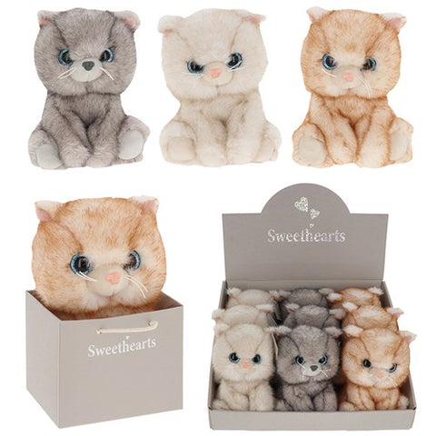 Sweethearts Children’s Kitten Plush Toy with Gift Bag