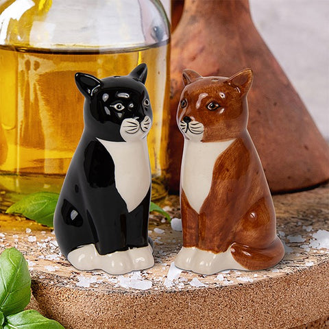 Brown & Black Cat Salt and Pepper Cruet Set