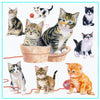 Richard Partis Design Playful Kittens Greetings Card