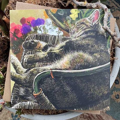 Alex Clark Classic Square Cat Card Any Occasion - Sound Asleep