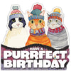 Emma Ball Cats in Hats Die Cut Birthday Greetings Card