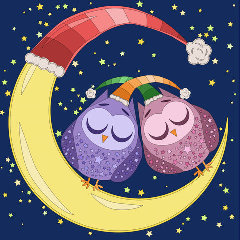 EXCLUSIVE DESIGN! 5D Diamond Art Kit: Owls Moon