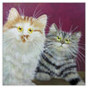 Kim Haskins Pumpkin and Poppy Greetings Card