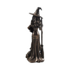 Cold Cast Bronze Sculpture - Witch with Cat