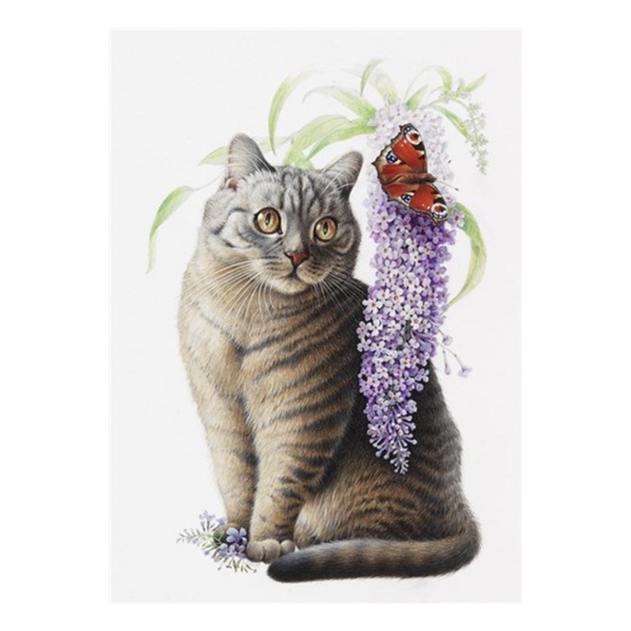 Lesley Anne Ivory Cat Greetings Card - Mintaka
