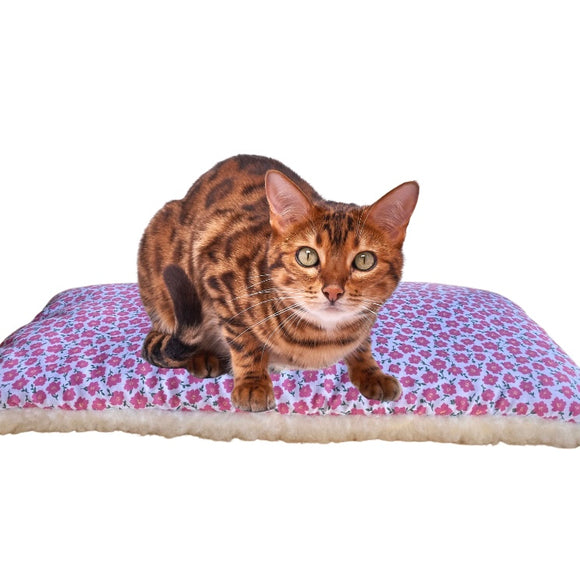 Windowsill cat cushion