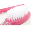 Ancol Ergo Cat Grooming Soft Bristle Brush