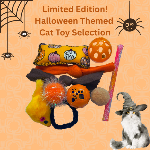 Limited Edition! Value Mix of 10 Cat Toys - Halloween 🎃