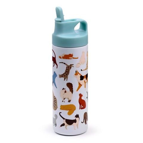 Feline Fine Cat Insulated Hot & Cold Bottle 500ml