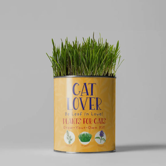 Grow Your Own Plants - 3 Varieties Loved by Cats