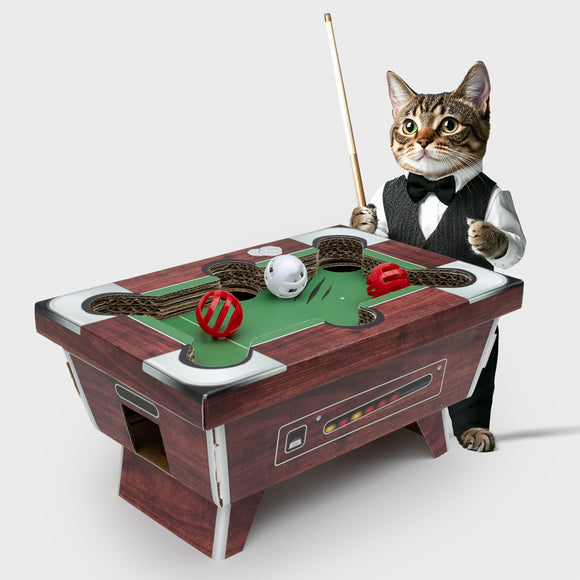 Cat Pool Table Fun Cat Kitten Scratcher