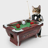 Cat Pool Table Fun Cat Kitten Scratcher