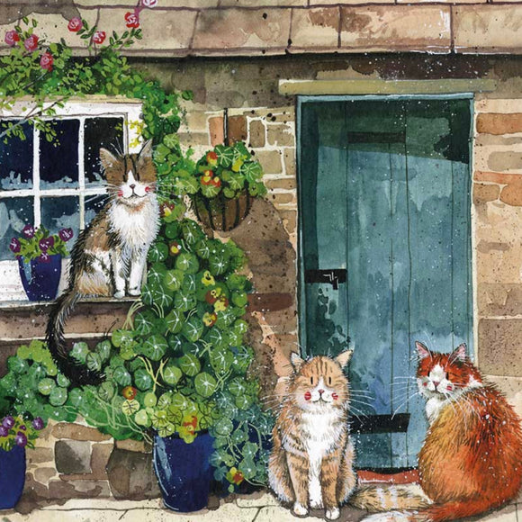 Alex Clark Classic Square Cat Card - Cottage Cats