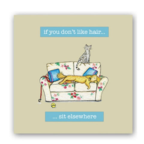 Embellishments Cat Greetings Card - Find another chair