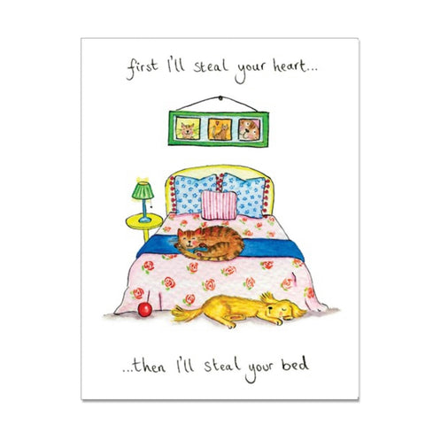 Cockadoodle Cat Greetings Card - Steal Your Heart