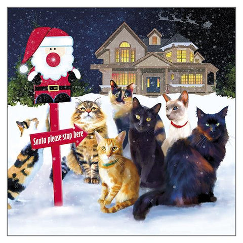 Denise Laurent Cat Christmas Card - This Way Santa