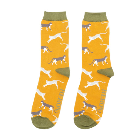 Mr Heron Men's Bamboo Cat Socks 'Wandering Cats' Mustard