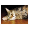 Denise Laurent Cat Greetings Card - Snooze