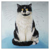 Kim Haskins Cat Greetings Card - Mr Grumpy
