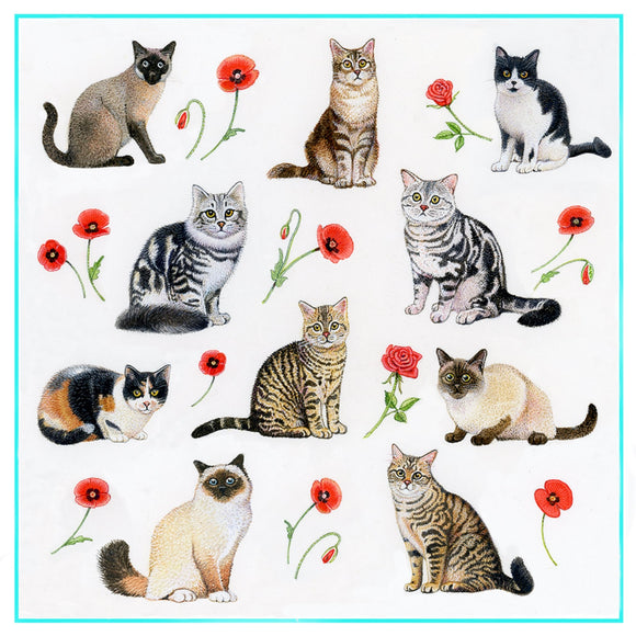 Richard Partis Design Pussy Cats Greetings Card