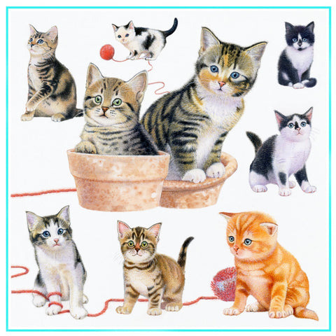 Richard Partis Design Playful Kittens Greetings Card