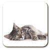 Marie Brown Sleeping Cat Coaster