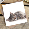 Marie Brown Sleeping Cat Greetings Card