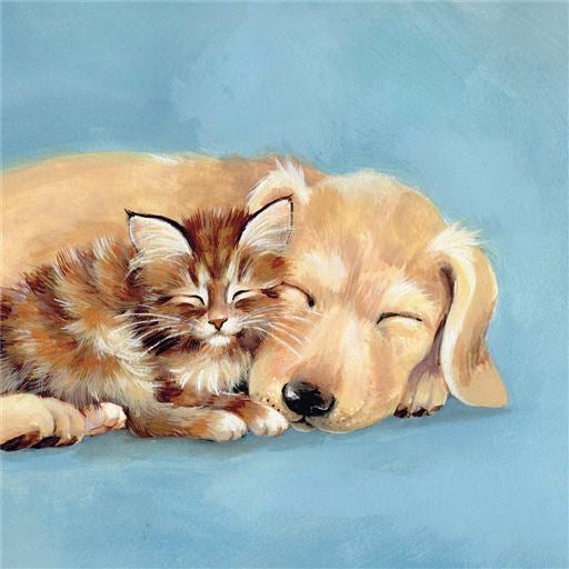 Labrador and Kitten Greetings Card Any Occasion