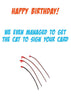 Cat Scratches Humorous Birthday Card