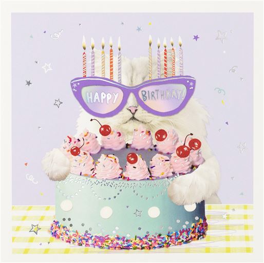 Cat and Cake Birthday Card with Silver Foiling