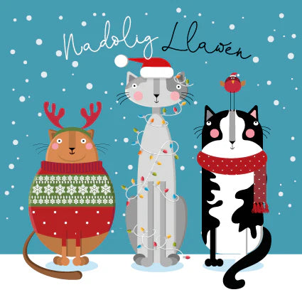 Three Cats Welsh Christmas Card - Nadolig Llawen