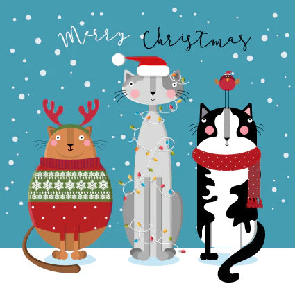 Three Cute Cats Christmas Card - Merry Christmas