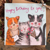 Alex Clark Classic Square Cat Card - Birthday Greetings