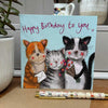 Alex Clark Classic Square Cat Card - Birthday Greetings