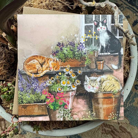 Alex Clark Classic Square Any Occasion Cat Card - Amongst The Pots