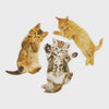 Purrfect Nails Cat Shaped Double Sided Nail File