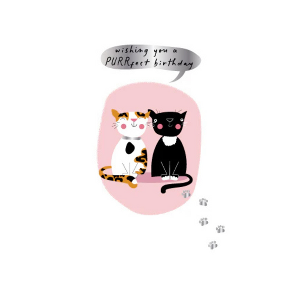 Cat Silver Foil Birthday Card - Two Happy Kitties