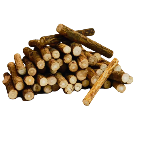 EXTRA LARGE Silvervine Matatabi Chew Sticks Cat Toy