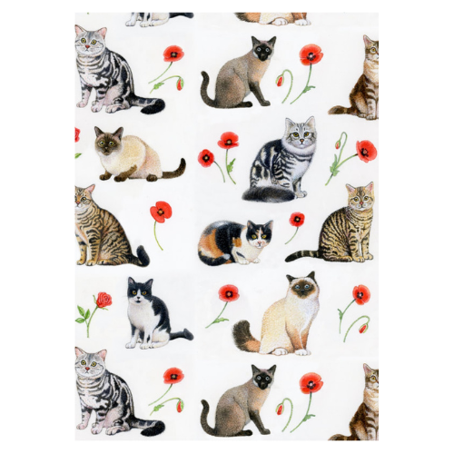 Richard Partis Design Pussy Cats Wrapping Paper Set 1
