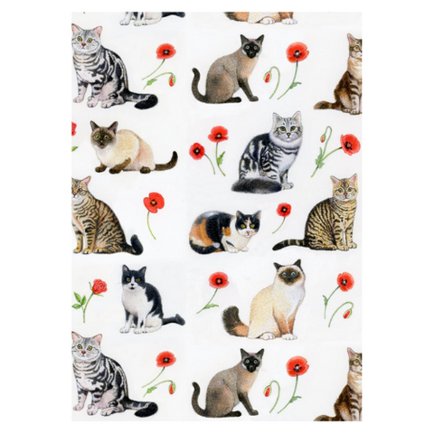 Richard Partis Design Pussy Cats Wrapping Paper Set 2