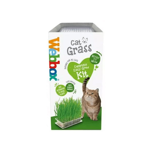 Webbox Kitty Cat Grass Easy Grow Kit - Fresh and Natural