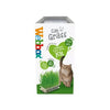 Webbox Kitty Cat Grass Easy Grow Kit - Fresh and Natural