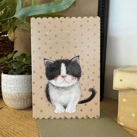 Alex Clark Kitten Birthday Card