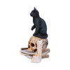 *Lisa Parker Spirits of Salem Hand Painted Cat Figurine*