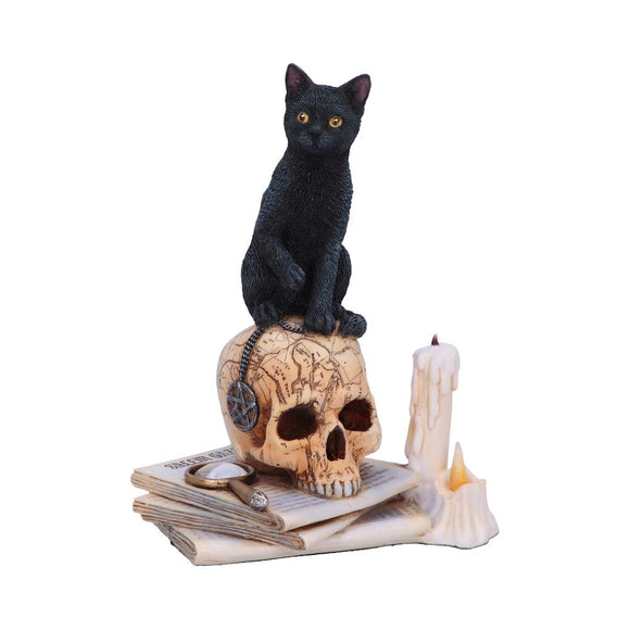 *Lisa Parker Spirits of Salem Hand Painted Cat Figurine*
