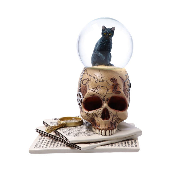 *Lisa Parker Spirits of Salem Cat & Skull Snow Globe*