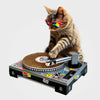 Super Fun Cat Kitten DJ Cat Cardboard Scratcher