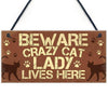 "Beware Crazy Cat Lady" Plywood Hanging Cat Plaque
