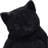 Daydream Sleeping Black Cat Figurine 13cm