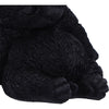 Daydream Sleeping Black Cat Figurine 13cm